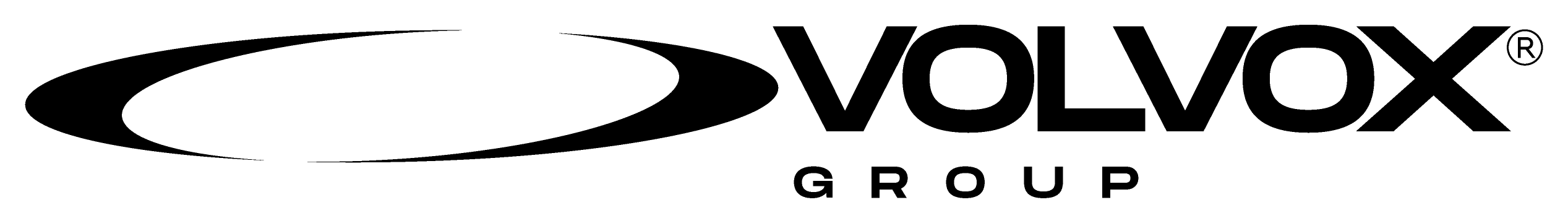 VOLVOX GROUP